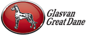 Glasvan Logo